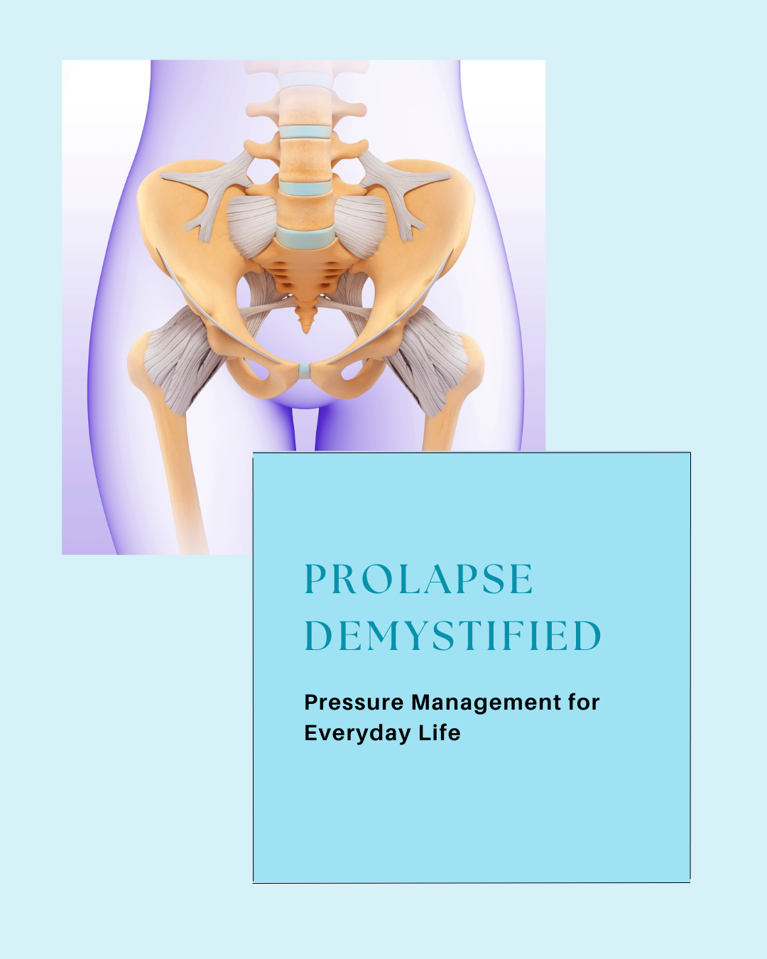 Prolapse Demystified eBook